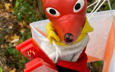 Orientierungslauf „Flinker Fuchs“ am Berg im goldenen Herbst